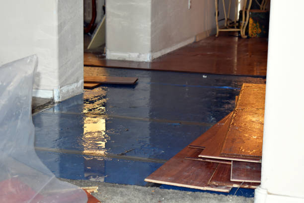 Professional Water Damage Restoration technician working in Olathe, CO